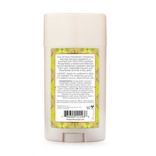 Load image into Gallery viewer, Indian Hemp & Haitian Vetiver 24 Hour Deodorant 2.25 oz - back