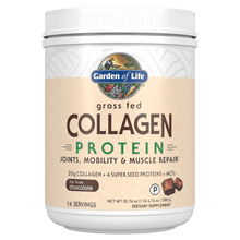 Load image into Gallery viewer, Collagen Hemp Protein Powder Chocolate, 588 Grams
