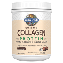 Load image into Gallery viewer, Collagen Hemp Protein Powder Chocolate, 588 Grams