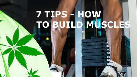 7 Tips - How to Build Muscles