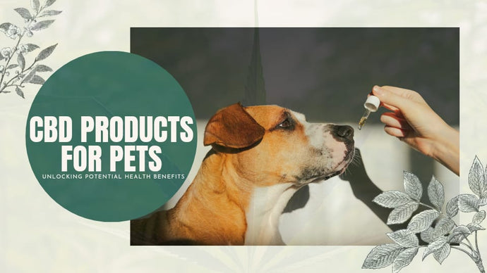 CBD Products for Pets: Unlocking Potential Health Benefits