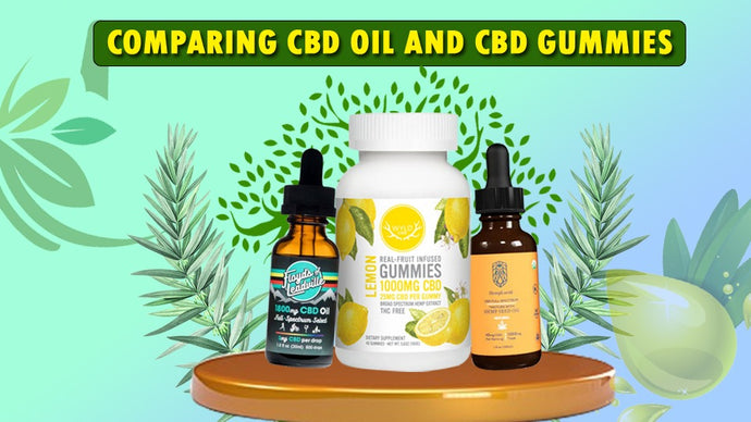Comparing CBD Oil and CBD Gummies: Which is Right for You?