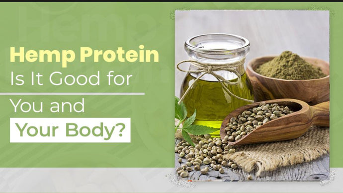 Hemp Protein: Is It Good for You and Your Body?