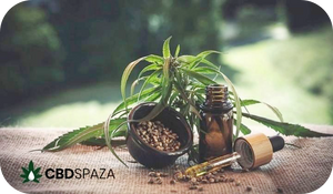 CBDSpaza.com - Premium CBD & Hemp Products Available Online