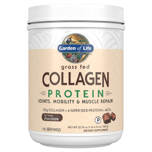 Collagen Hemp Protein Powder Chocolate, 588 Grams